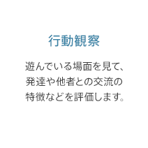 行動観察: 遊んでいる場面を見て、発達や他者との交流の特徴などを評価します。